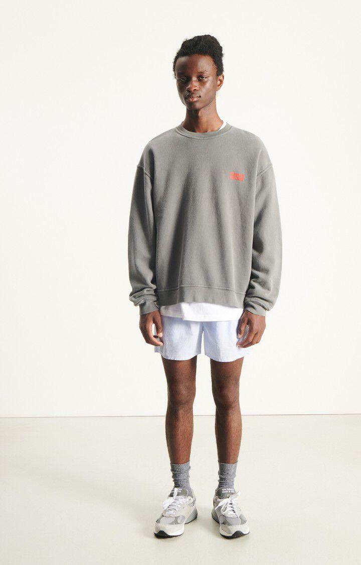 American Vintage Plizzy Sweatshirt Herren grau – Produktansicht 4
